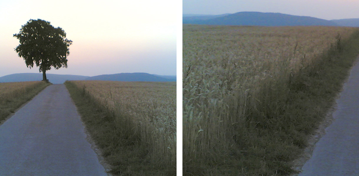 Trauer ist keine Krankheit, sondern eine natürliche und notwendige Reaktion auf einen Verlust. Manchmal braucht man dabei Unterstützung. Wir stehen Ihnen auch nach einer Beisetzung als Gesprächspartnerinnen zur Verfügung oder vermitteln Ihnen Kontakte zu Ansprechpersonen in unserem Trauernetzwerk. Trauer ist keine Krankheit, sondern eine natürliche und notwendige Reaktion auf einen Verlust. Manchmal braucht man dabei Unterstützung. Wir stehen Ihnen auch nach einer Beisetzung als Gesprächspartnerinnen zur Verfügung oder vermitteln Ihnen Kontakte zu Ansprechpersonen in unserem Trauernetzwerk.